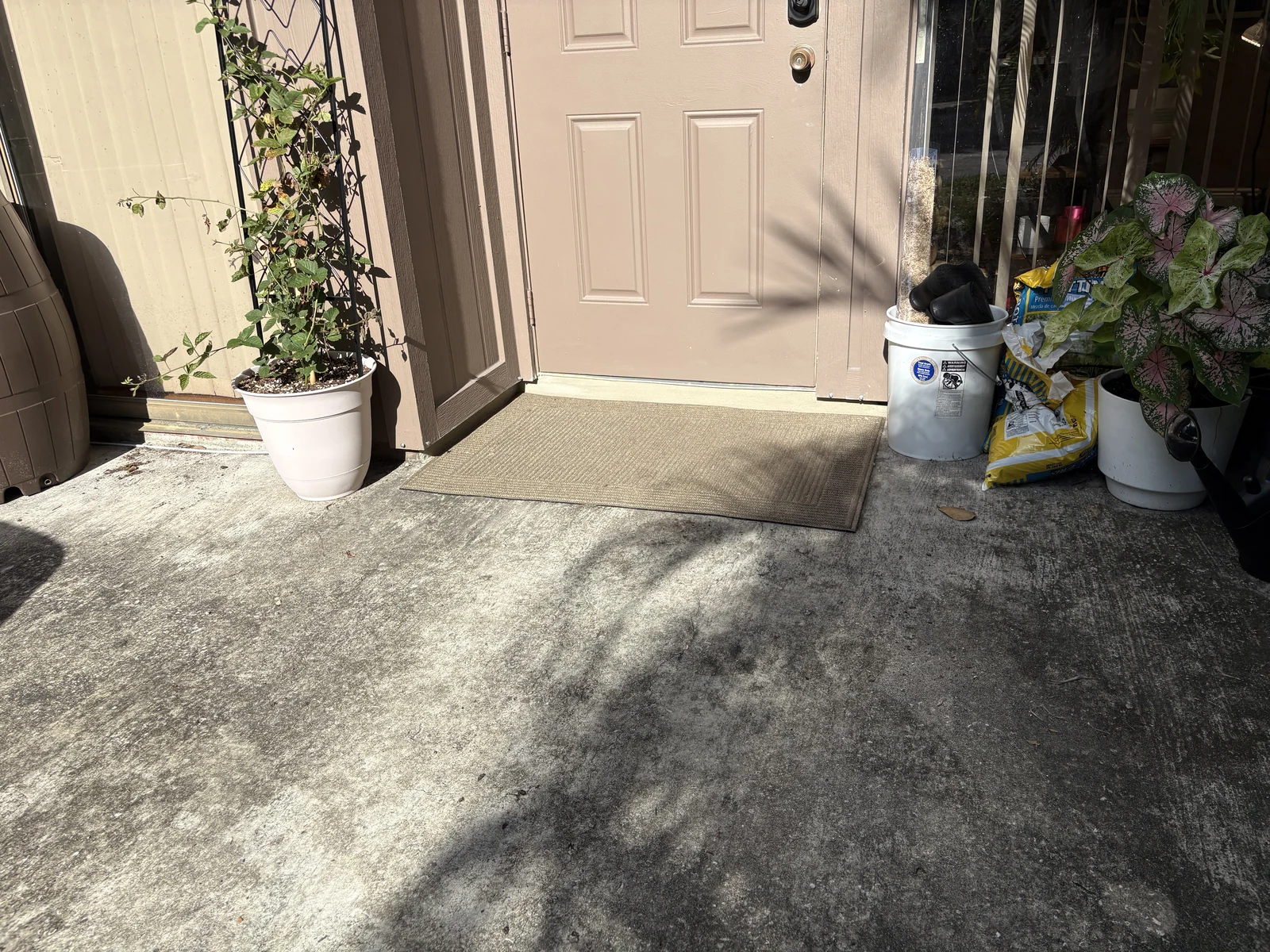 Residential Entry Walkway and Concrete Slab Exterior